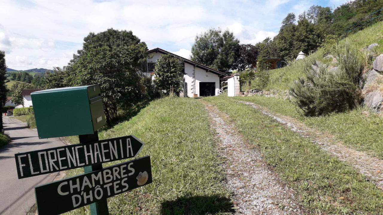 Maison Florenchaenia Sur Le Chemin De Compostelle Daire Saint-Jean-Pied-de-Port Dış mekan fotoğraf